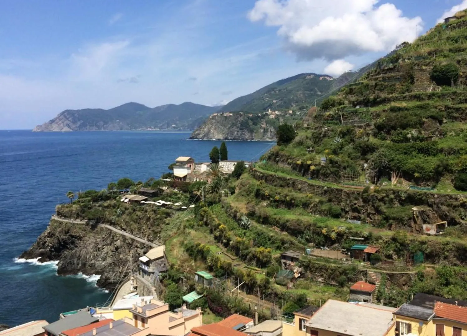 Casestate Starfish Manarola