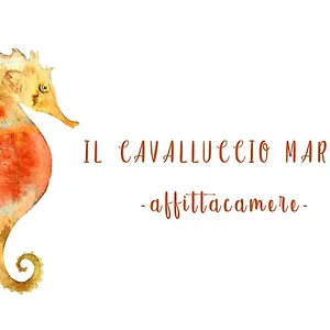 Il Cavalluccio Marino Manarola